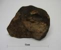 BEAU TALON DE METEORITE CHONDRITE